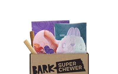 Barkbox Super Chewer: The Perfect Gift for Any Dog Lover