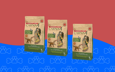 CARNA4 Hand Crafted Dog Food Review [2023]