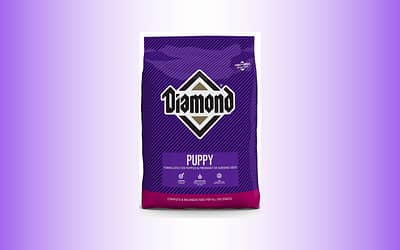 Diamond Premium Recipe Complete And Balanced Dry Dog Food For Growing Puppies Food Review [2023]
