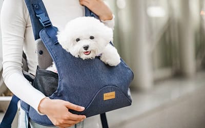 Dog Sling: A Convenient and Comfortable Way to Carry Your Pet