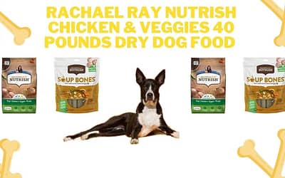 Rachael Ray Dry Dog Food Review [2023]