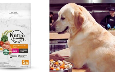 NUTRO Adult Natural Grain Free Wet Dog Food Review [2023]