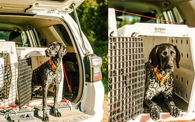 Premium Ruffland Kennel: Elevate Your Dog’s Comfort and Security to New Heights