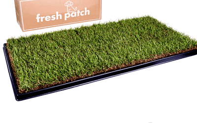 Grass Patch For Dogs