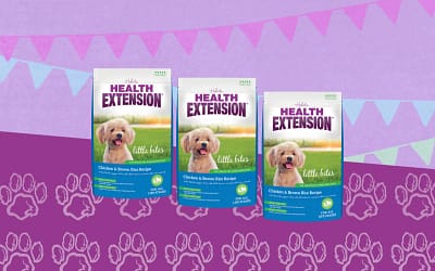 Health Extension Little Bites Dry Dog Food Review [2023]