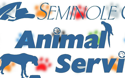 Seminole County Animal Shelter: Find Your Furry Friend Today