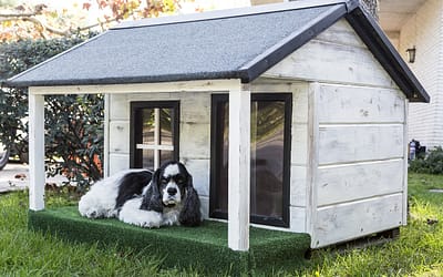 Outdoor Dog Kennels: Ensuring Safety and Comfort