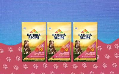 Nature’s Recipe Dry Dog Food Grain Free Salmon, Sweet Potato & Pumpkin Recipe