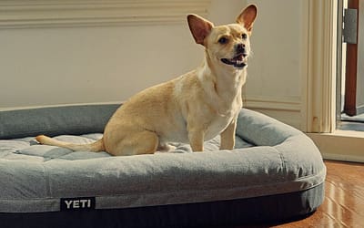 Premium Orthopedic Dog Beds