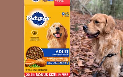 PEDIGREE Complete Nutrition Adult Dry Dog Food Roasted Chicken, Rice & Vegetable Flavor Food Review [2023]