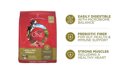 Purina ONE Dry Dog Food Lamb and Rice Formula Review [2023]