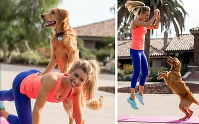 Dog Needs Exercise Buddies: Improve Your Dogs Mental and Physical Health