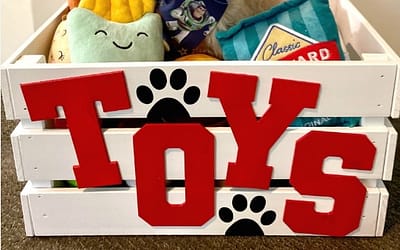 Dog Toy Box