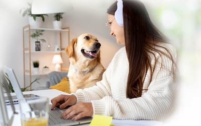 The 10 Best Dog-Friendly WorkPlaces