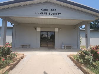Carthage Humane Society: Give a Home to a Homeless Pet