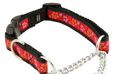 Discover the Benefits of Martingale Collars for Gentle and Effective Dog Training