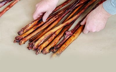 Bully Sticks: A Safe and Healthy Chew for Your Dog