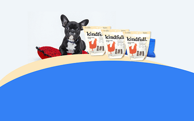 Tesadorz Bags and Kindfull Chicken Jerky Dog Treats Review [2023]