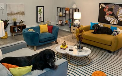 Dog Room Ideas: Create the Perfect Space for Your Furry Friend
