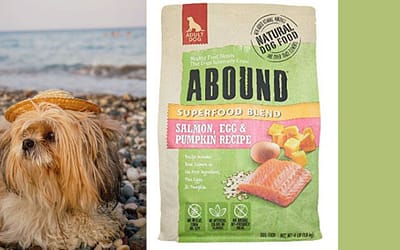 Abound Superfood Blend Natural Adult Dog Dry Food – Salmon, Egg & Pumpkin Recipe Review [2023]