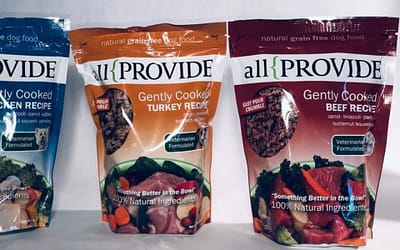 Allprovide Dog Food: The Best Dog Food for Your Furry Friend