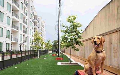 Apartments With Dog Parks