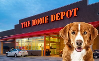 Are Dogs Allowed In Home Depot