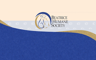 Furry Journeys: Chronicles from the Beatrice Humane Society