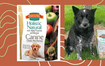 Bench And Field Holistic Natural Adult Dry Dog Food Review [2023]