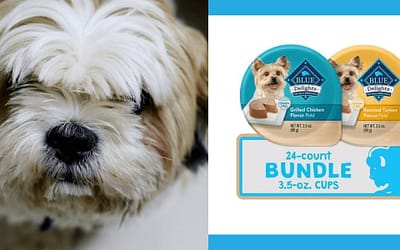 Blue Buffalo Delights Natural Adult Small Breed Wet Dog Food Cups Review [2023]