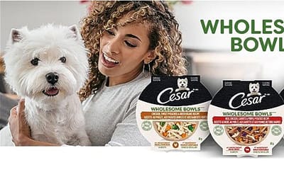 CESAR WHOLESOME BOWLS Adult Soft Wet Dog Food Review [2023]