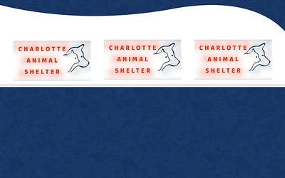 Charlotte Animal Shelter: Find Your Furry Friend Today