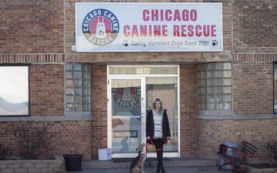 Chicago Canine Rescue: The Ultimate Resource for Dog Lovers