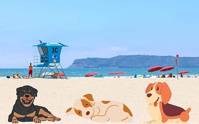 Coronado Beach Dog Park