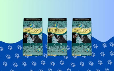 Earthborn Holistic Large Breed Grain-Free Dry Dog Food Review [2023]