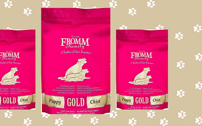 Fromm Puppy Gold Premium Dry Dog Food Review [2023]