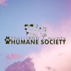 Harrison County Humane Society: Adopt a Happy, Healthy Pet Today
