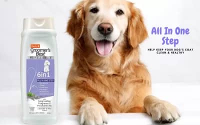 Hartz Groomer’s Best Professionals 6-in-1 Dog Shampoo and Conditioner in One Review [2023]