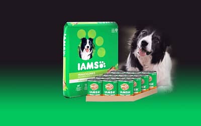 Iams Proactive Health Adult Minichunks Dry Dog Food Review [2023]