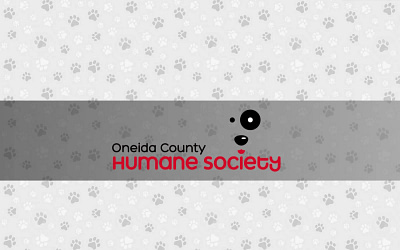 Oneida County Humane Society: Compassionate Care & Pet Adoption