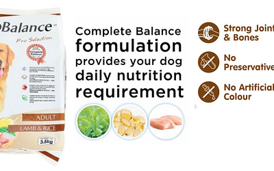 ProBalance Pro Selection Adult Dog Dry Food Review [2023]