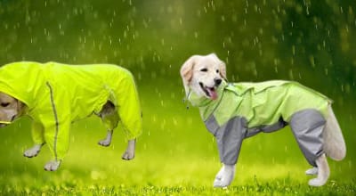 Dog Rain Jacket: Keep Your Furry Friend Dry and Happy in the Rain