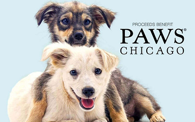 Welcome to Paws Chicago: Where Every Paw Tells a Story of Hope