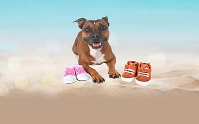 Dog Shoes For Summer