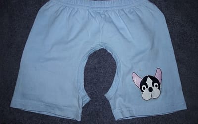 Dog Shorts