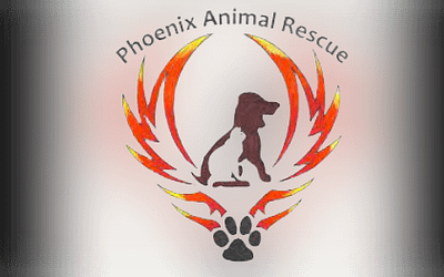 Phoenix Animal Shelter: Adopt a Loving Pet Today