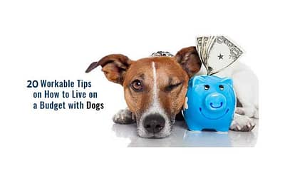 20 Ways To Save On Your Dog’s Expenses