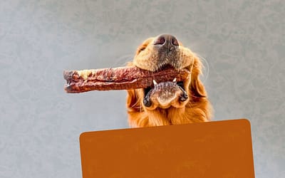 Beef Trachea For Dogs