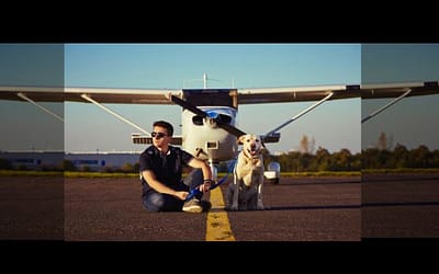 Flight Volunteers Airlift Mexican Dogs To Us And Canadian Families