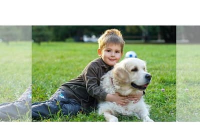 Teaching Kids to be Responsible Pet Ownership